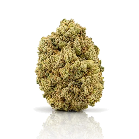 Gelato 41