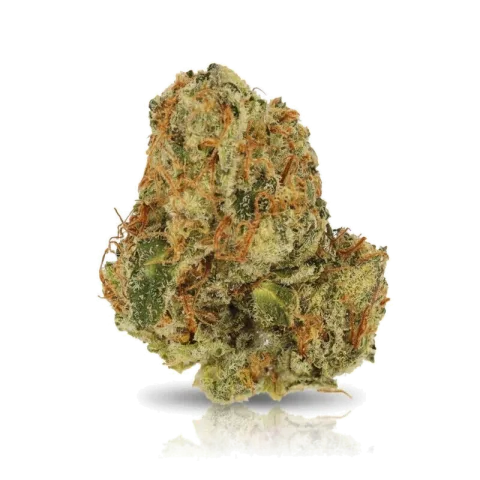 Gorilla Zkittlez