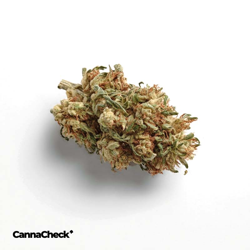 420 Natural 25/1 CA SRK Sour Kush