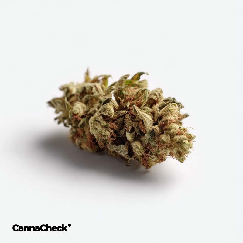 Wellford Luma 24/1 ZA SOC Sour OG Cheese