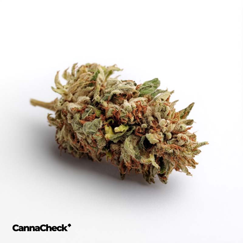 Curaleaf Vape Pen Kartusche & Curaleaf Cannabis Destillat & Terpenlösung