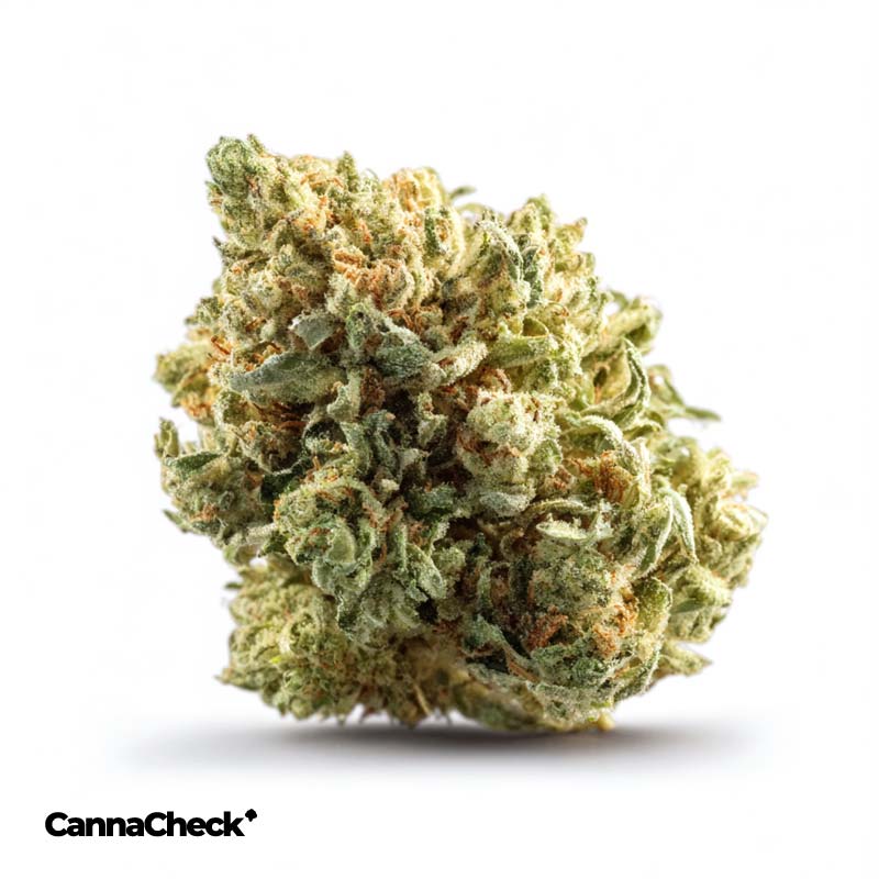avaay 32/1 AHC Amnesia Haze Cake
