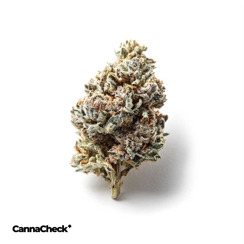 IMC DB THC20 Junky Lemon