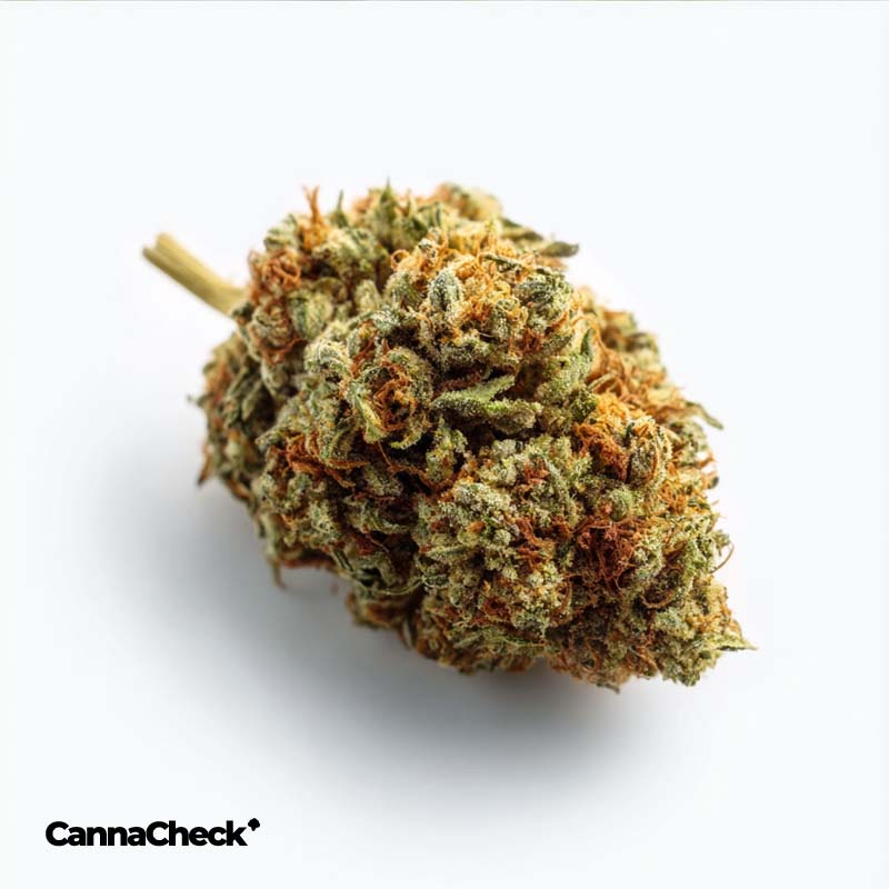 Cannabistada Extrakt THC15/CBD30 CA