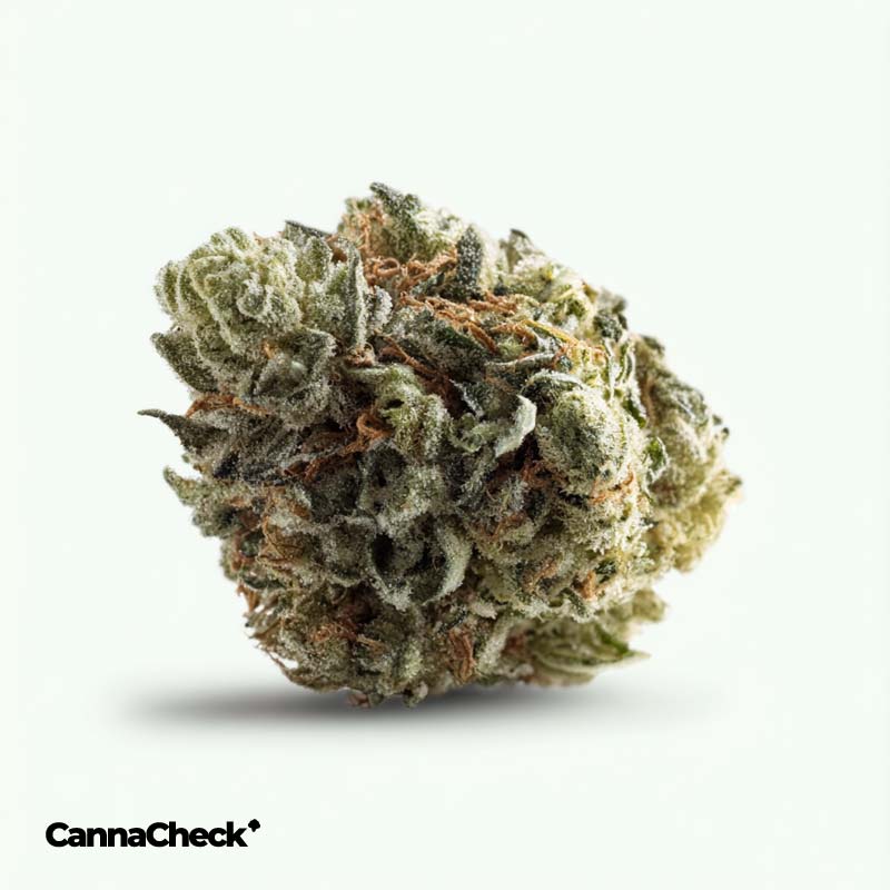 CannabiStada Extrakt THC 1/CBD 25